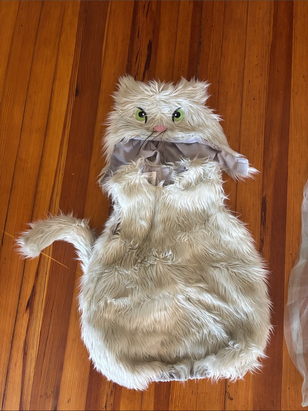 Pottery Barn Kids Cream Faux Fur Cat Costume with Green Eyes